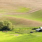 działki